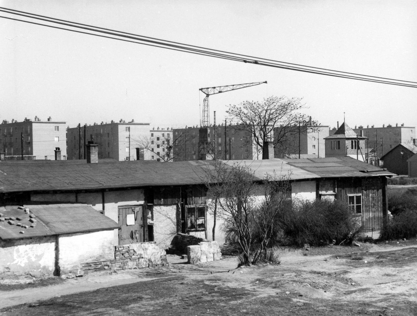 Mária Valéria telep, József Attila lakótelep Mária Valéria telep, József Attila lakótelep